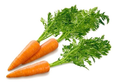 Dạy trẻ nhận biết: Củ cà rốt.