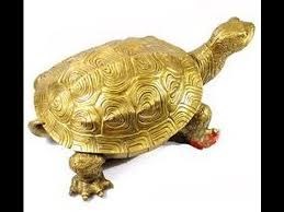 Truyện: Con rùa vàng