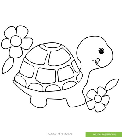Tranh tô màu: Con rùa