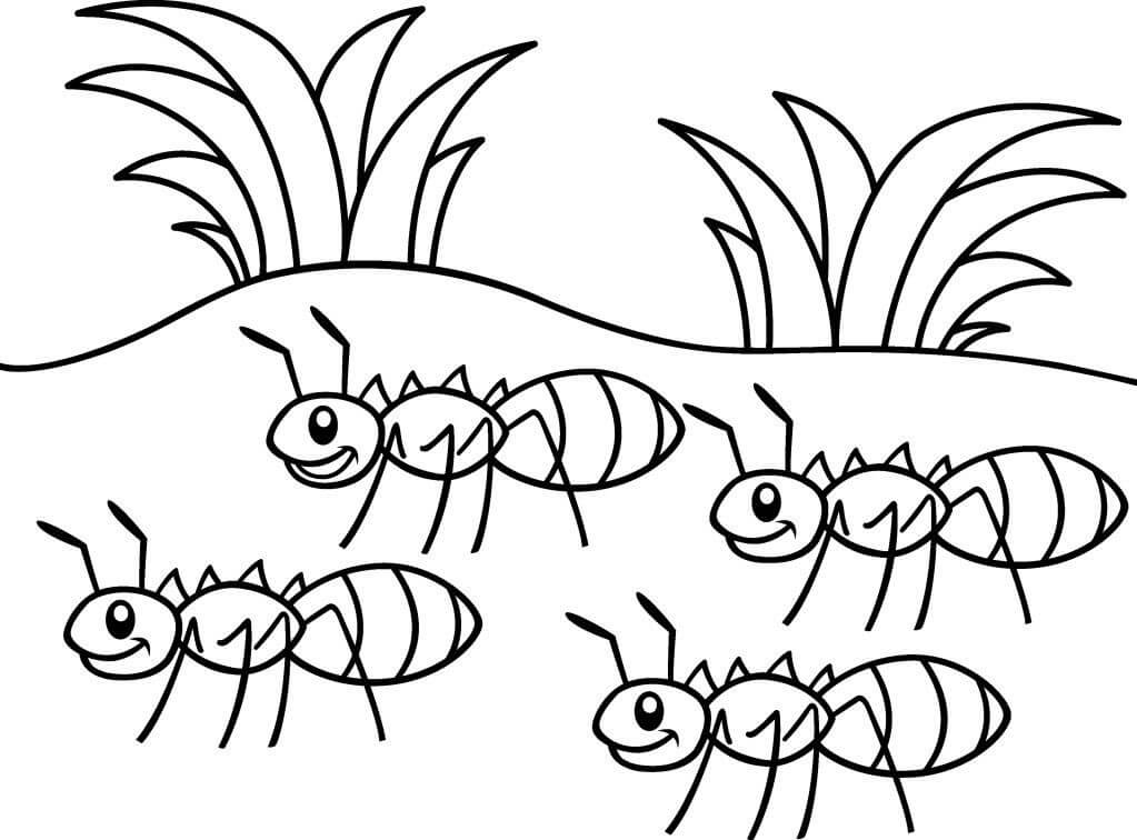 Tranh tô màu: Đàn kiến