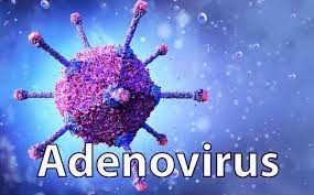 Bài tuyên truyền về phòng, chống bệnh do vi rút Adeno