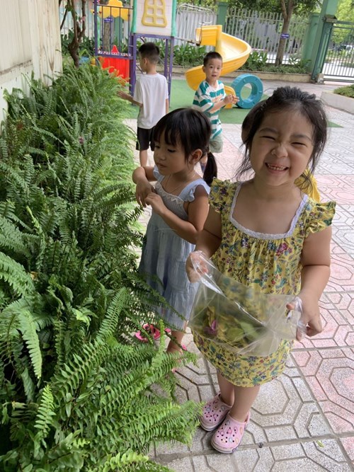 Khoảnh khắc vui vẻ của bé Bạch Ngọc Minh Châu trong buổi chăm sóc cây xanh ở lớp MGL A5 