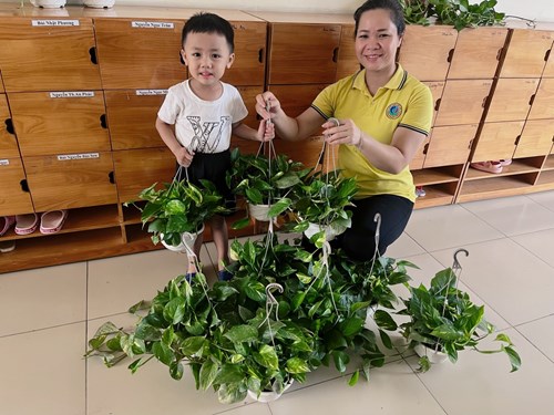 Bé Nguyễn Hoàng Phú An - Lớp MGB C1 muốn lớp học giống như vườn cây cảnh.