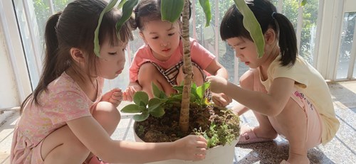 Các bé lớp MGL A4 tham gia hoạt động chăm sóc cây xanh