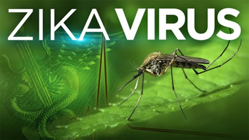  Phòng chống dịch bện Virus Zika