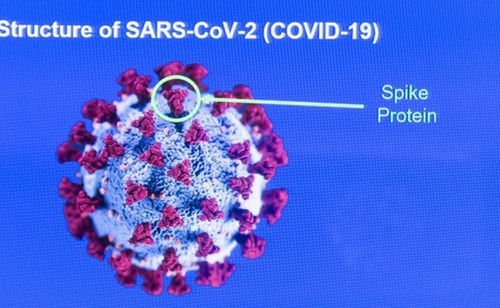 Người mắc COVID-19 khỏi bệnh được tiêm phòng sẽ có miễn dịch đặc biệt chống lại các biến thể