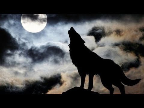Câu chuyện “Hai con sói” và bài học lớn cho trẻ về sự đấu tranh nội tại để trưởng thành