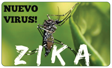 Hướng dẫn giám sát và phòng, chống bệnh do virus zika 