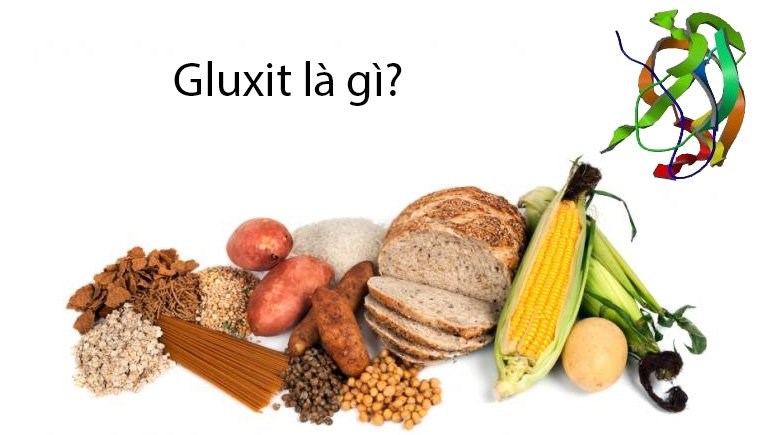 Gluxit là gì? Phân loại gluxit và vai trò dinh dưỡng