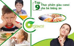 Top 9 thực phẩm giàu canxi cho bé biếng ăn các mẹ bắt buộc phải biết.