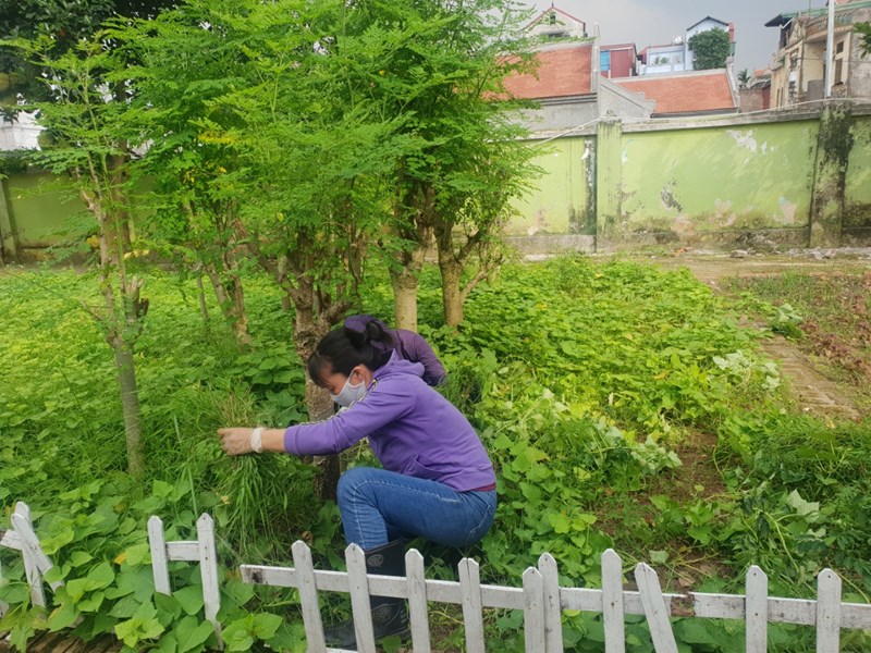 Trường MN Việt Hưng tổ chức tổng vệ sinh môi trường diệt bọ gậy phòng, chống dịch sốt xuất huyết đợt 1 năm 2022.