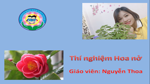 Thí nghiệm Hoa nở - GV: Nguyễn Thoa