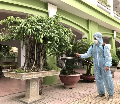 Phun thuốc diệt muỗi phòng bệnh sốt xuất huyết ở trường Tiểu học Ái Mộ B