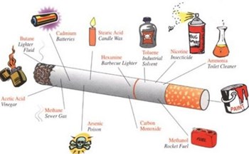 Tuyên truyền  Tác hại của thuốc lá 