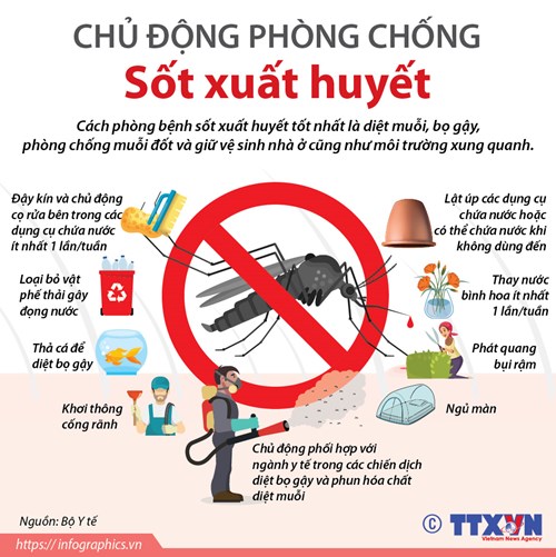 Khuyến cáo phòng, chống dịch bệnh sốt xuất huyết Dengue