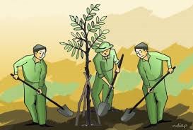 Lịch sử phong trào Tết trồng cây