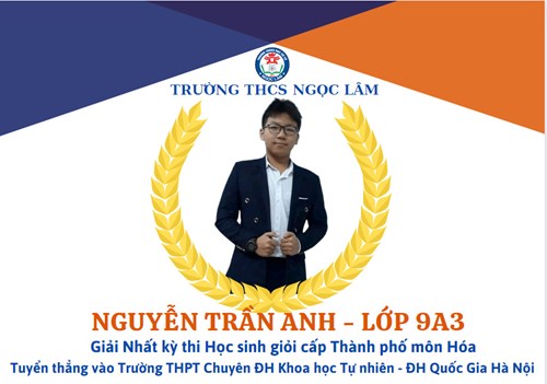 Nguyễn Trần Anh - Học sinh lớp 9A3 Gương mặt tiêu biểu thủ đô năm học 2021-2022 của trường THCS Ngọc Lâm
