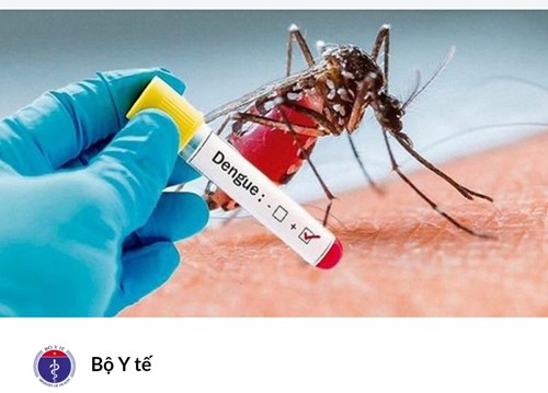 8 lưu ý quan trọng từ các chuyên gia y tế trong mùa dịch sốt xuất huyết