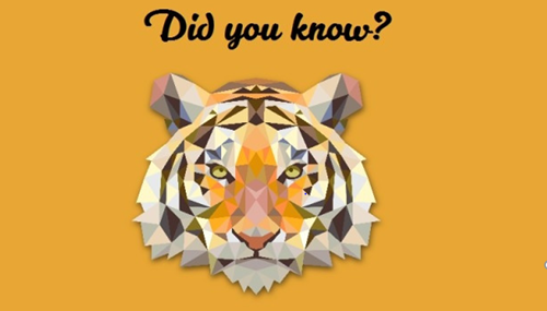 Những điều thú vị về con hổ mà bạn chưa biết