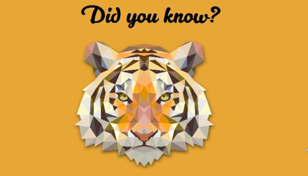 Những điều thú vị về con hổ mà bạn chưa biết