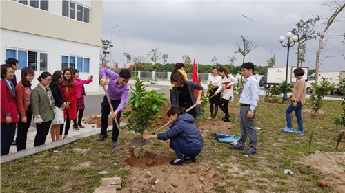 Trường THCS Thanh Am hưởng ứng Tết trồng cây xuân 2018