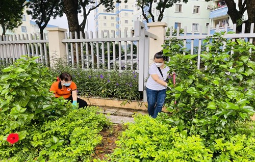 Tiểu học Đô thị Việt Hưng hưởng ứng chiến dịch tổng vệ sinh diệt bọ gậy đợt 1 năm 2021