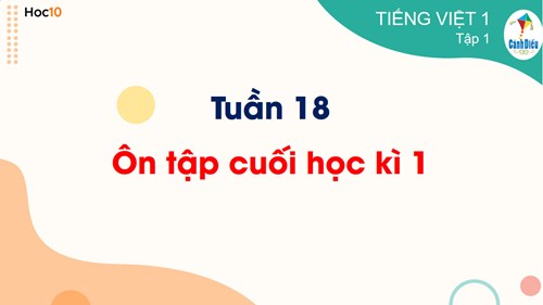 Tiếng Việt 1 - Học vần - Tuần 18 - Bài Ôn tập cuối kì 1 tiết 11 (đọc hiểu) phần 1