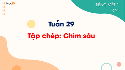 Tiếng Việt 1 - Tuần 29 - Chính tả: Tập chép Chim sâu