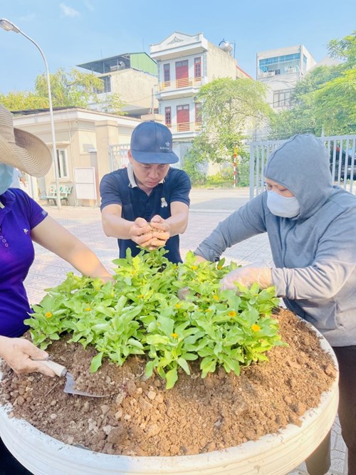Phong trào trồng và chăm sóc hoa và cây xanh của cán bộ, giáo viên và nhân viên trường tiểu học Giang Biên