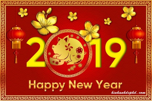 Chúc mừng năm mới xuân Kỉ Hợi 2019