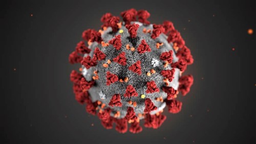 Tìm hiểu và cập nhật dịch bệnh do virus Corona chủng mới