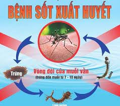 Các biện pháp, phòng chống dịch sốt xuất huyết trên địa bàn UBND Quận Long Biên năm 2022
