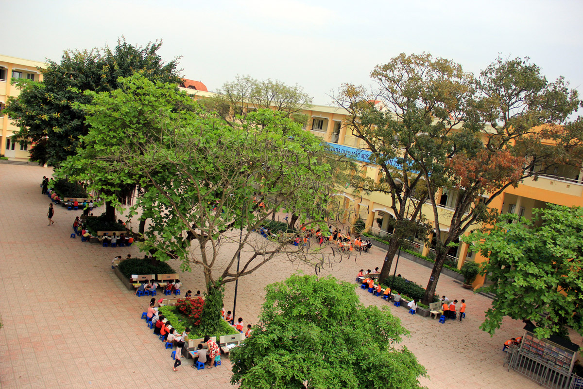 Toàn cảnh hàng cây xanh của trường nhìn từ trên cao