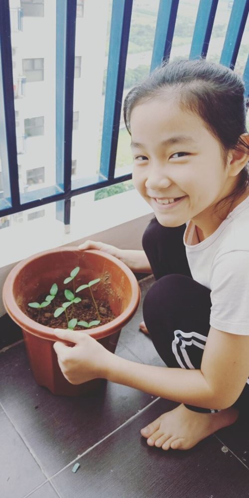 Học sinh lớp 4A3  học môn Kĩ thuật - Bài: Chăm sóc rau hoa