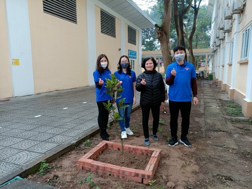 Chi đoàn trường tiểu học Việt Hưng hưởng ứng phong trào “Tết trồng cây”