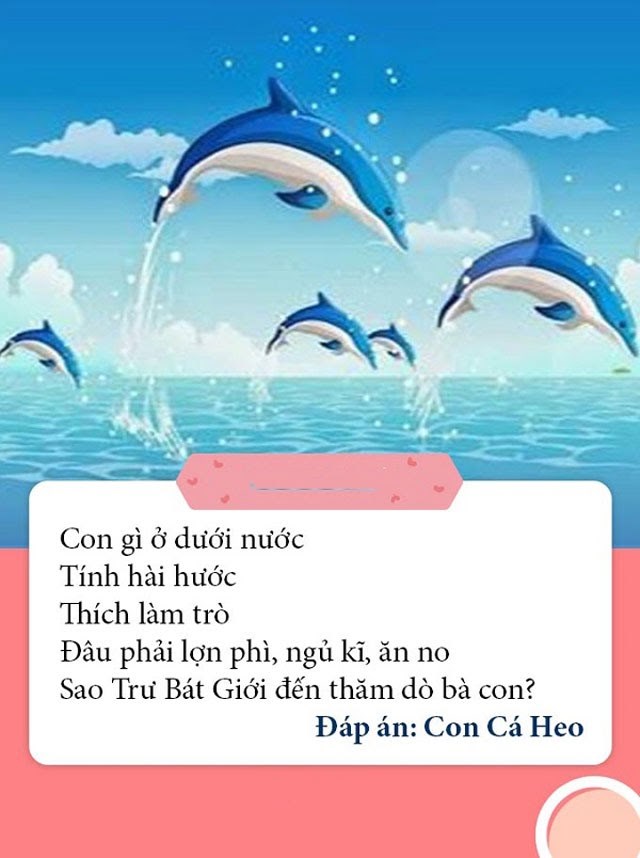 Câu đố về con cá heo | Trường mầm non Việt Hưng